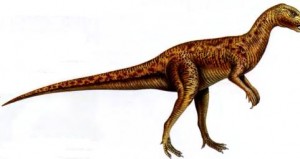 Гетеродонтозавр
