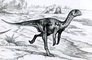 Лиэлленозавр