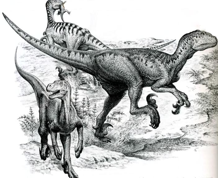 Дромеозавры
