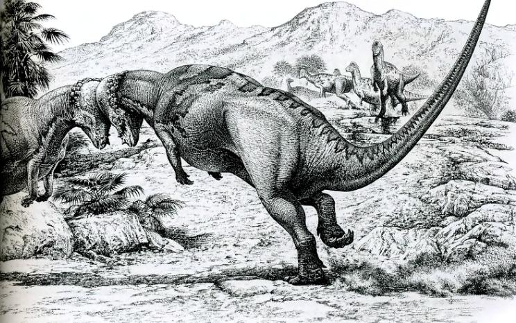 Толстоголовые динозавры (Пахицефалозавры)