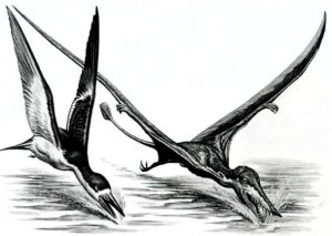 Питание птерозавров