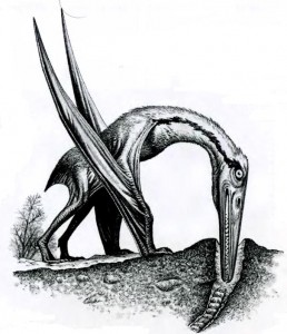 Как питались птерозавры