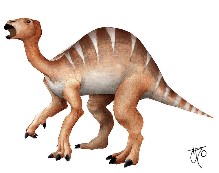 Виды динозавров Изображения – скачать бесплатно на Freepik