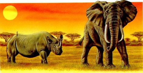 Носороги и африканские слоны