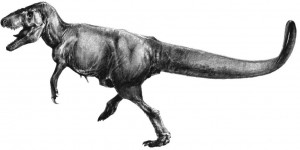 Тираннозавриды