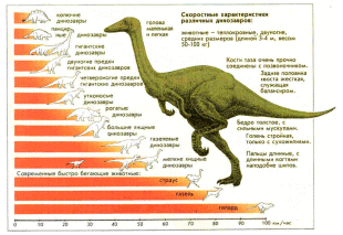 С какой скоростью перемещались динозавры