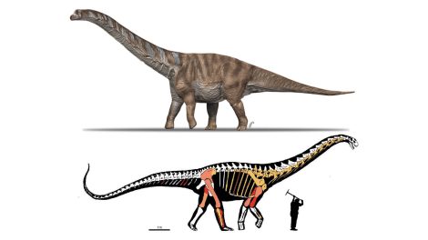 Abditosaurus