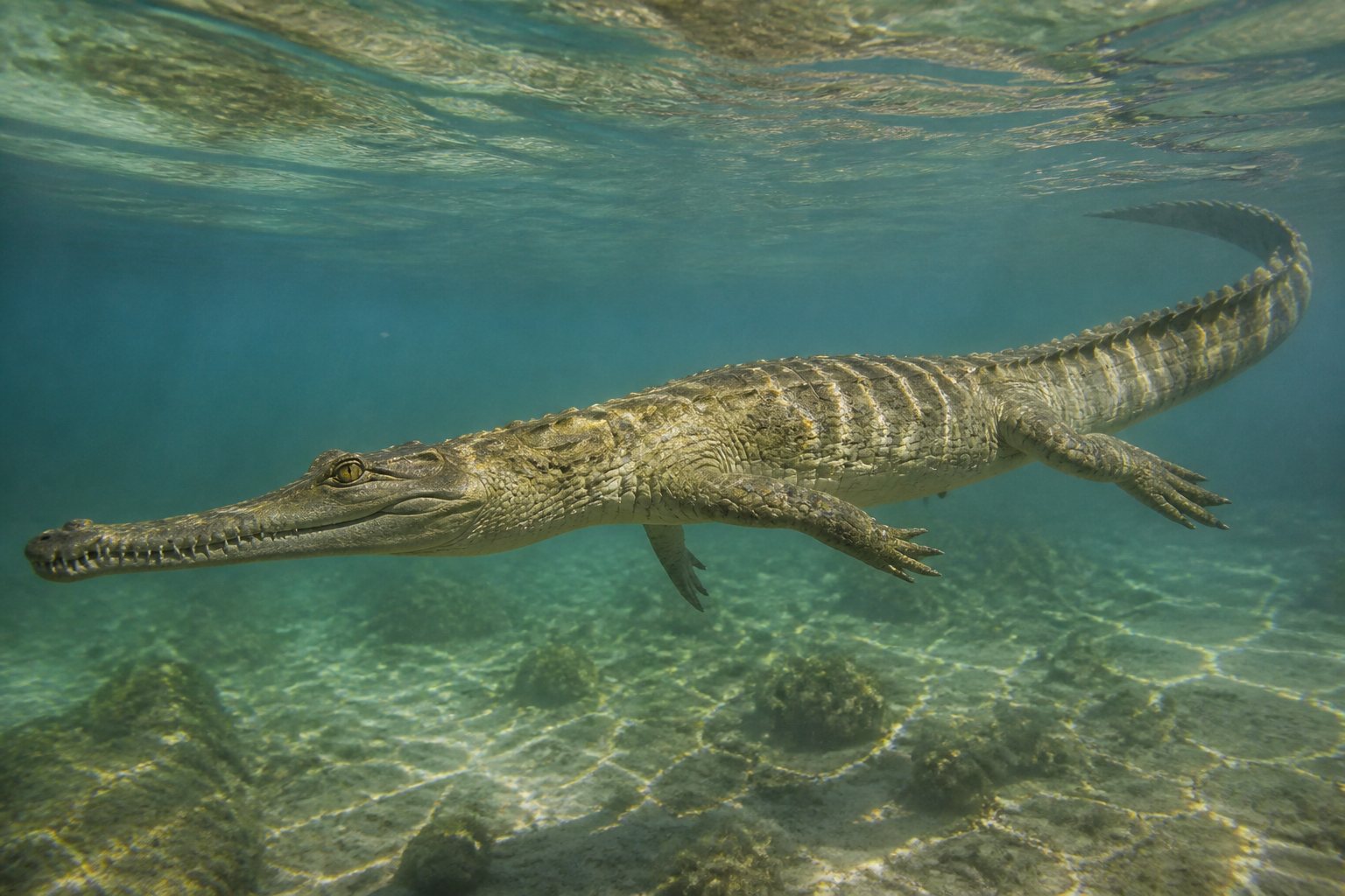 Научная реконструкция рода Congosaurus в среде его времени