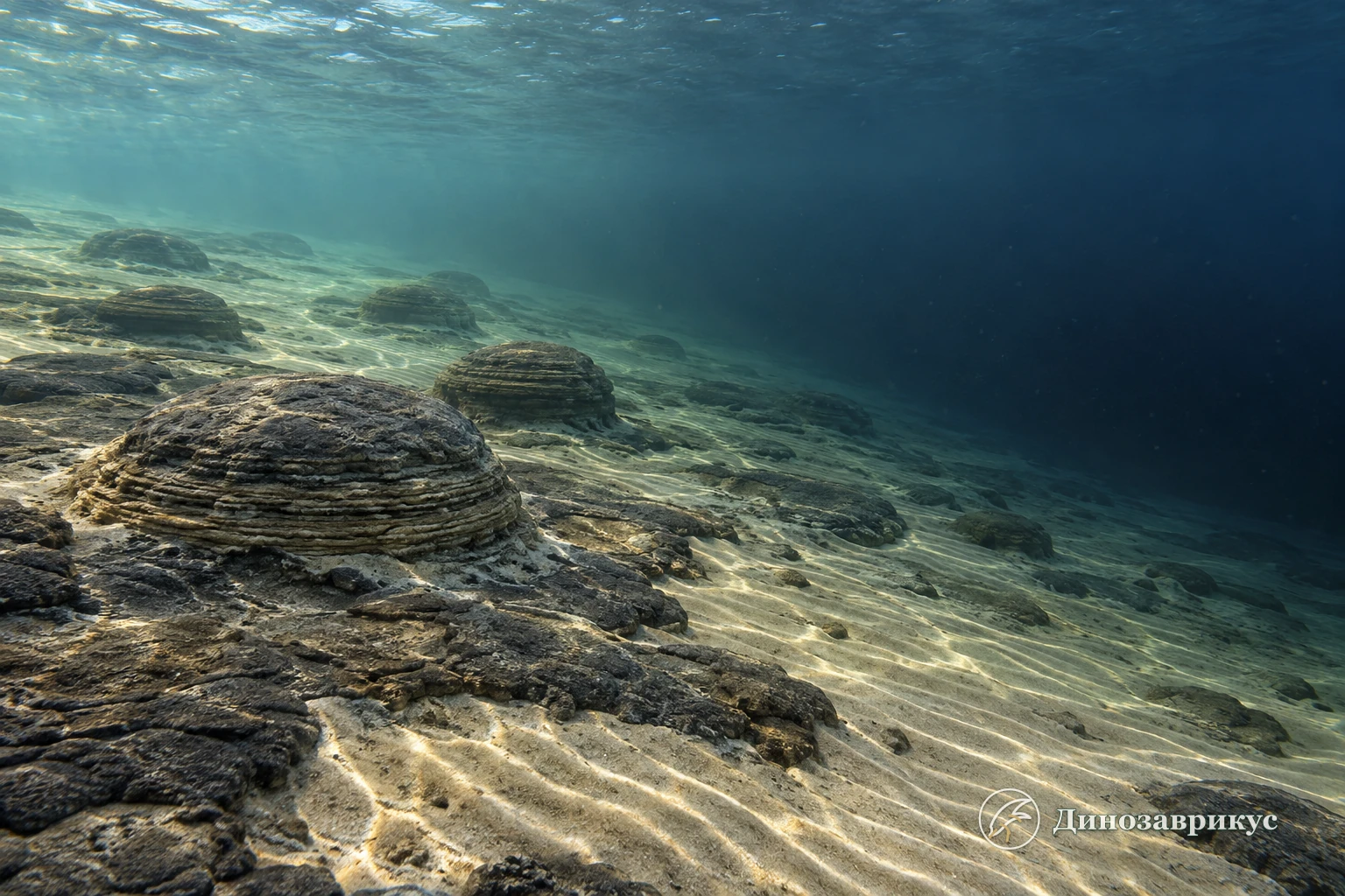 Освещённый шельф и бескислородная глубокая вода статерийского океана