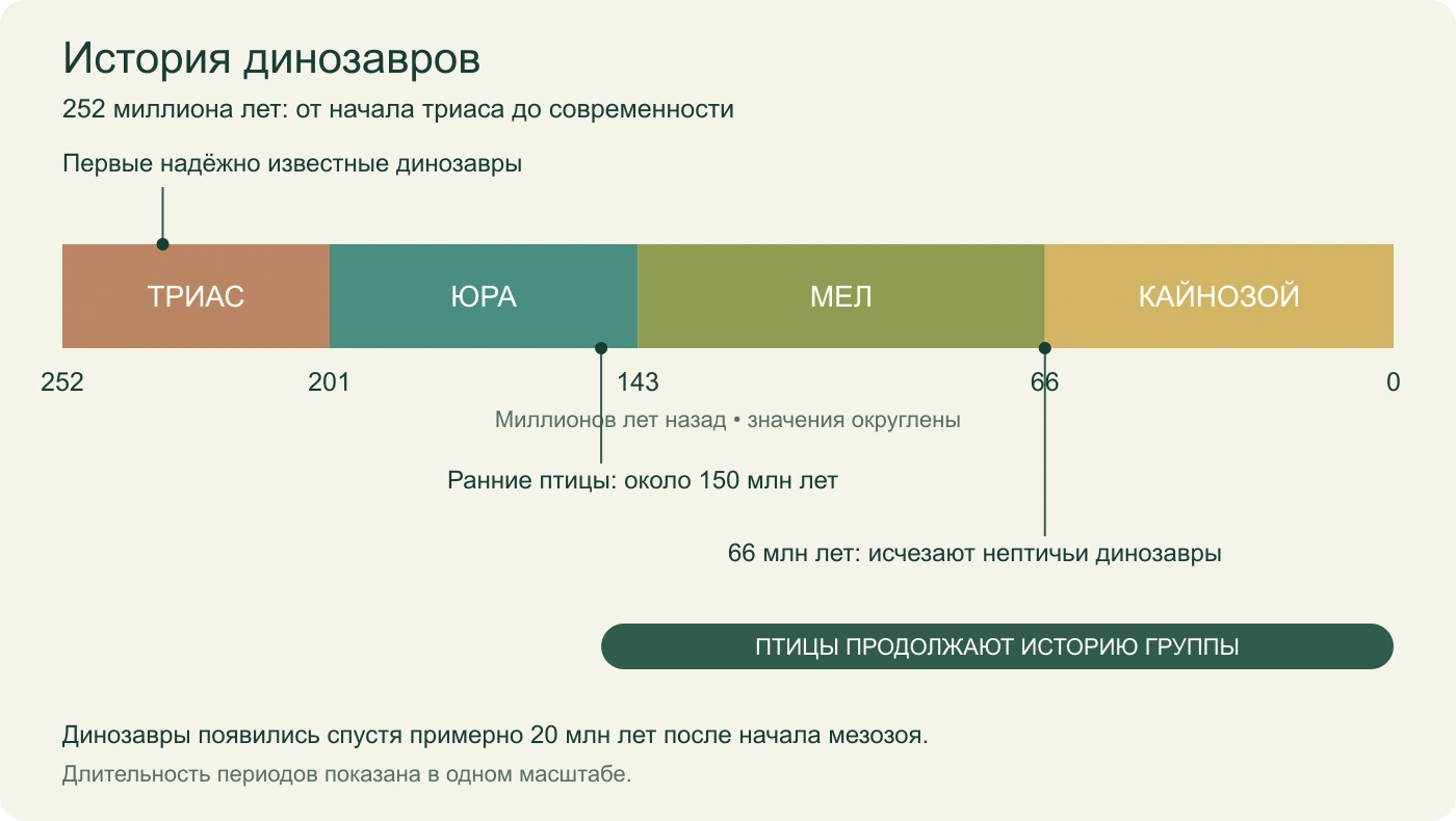 Временная шкала истории динозавров с границами триаса, юры, мела и кайнозоя