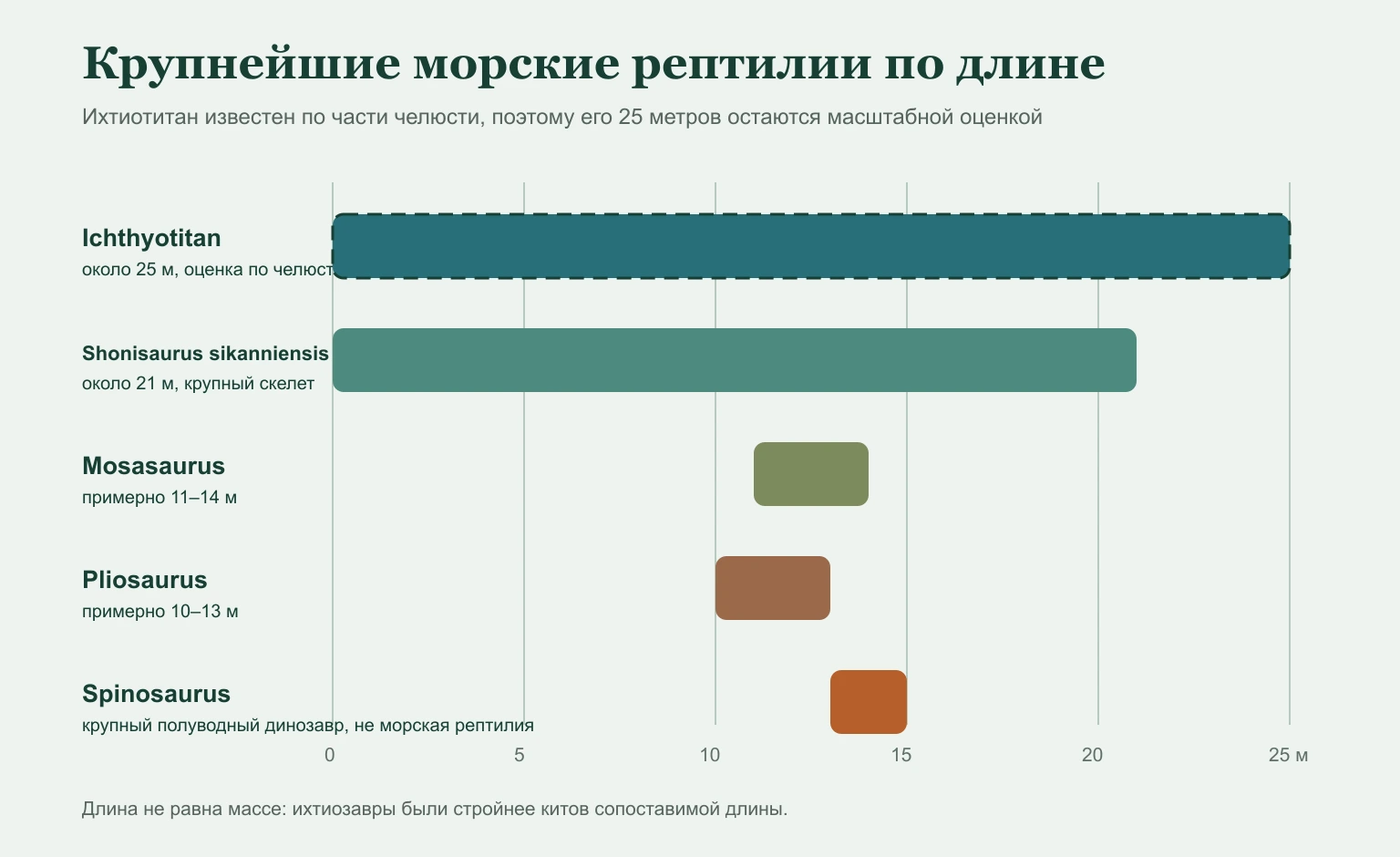 Сравнение длины крупнейших морских рептилий