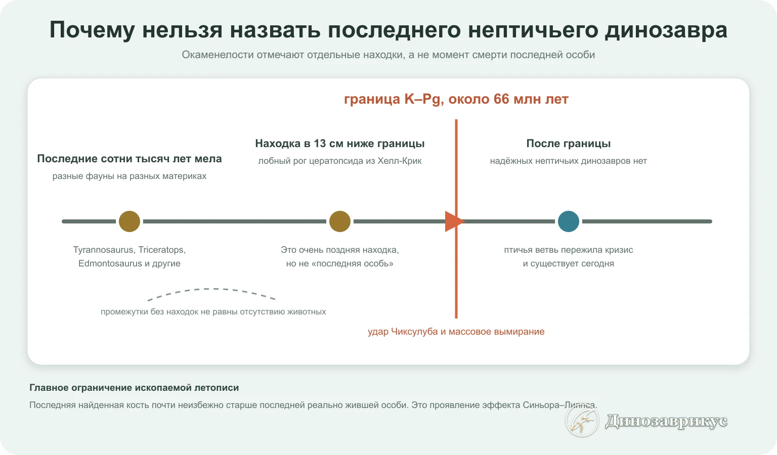 Схема последних находок динозавров у границы мела и палеогена