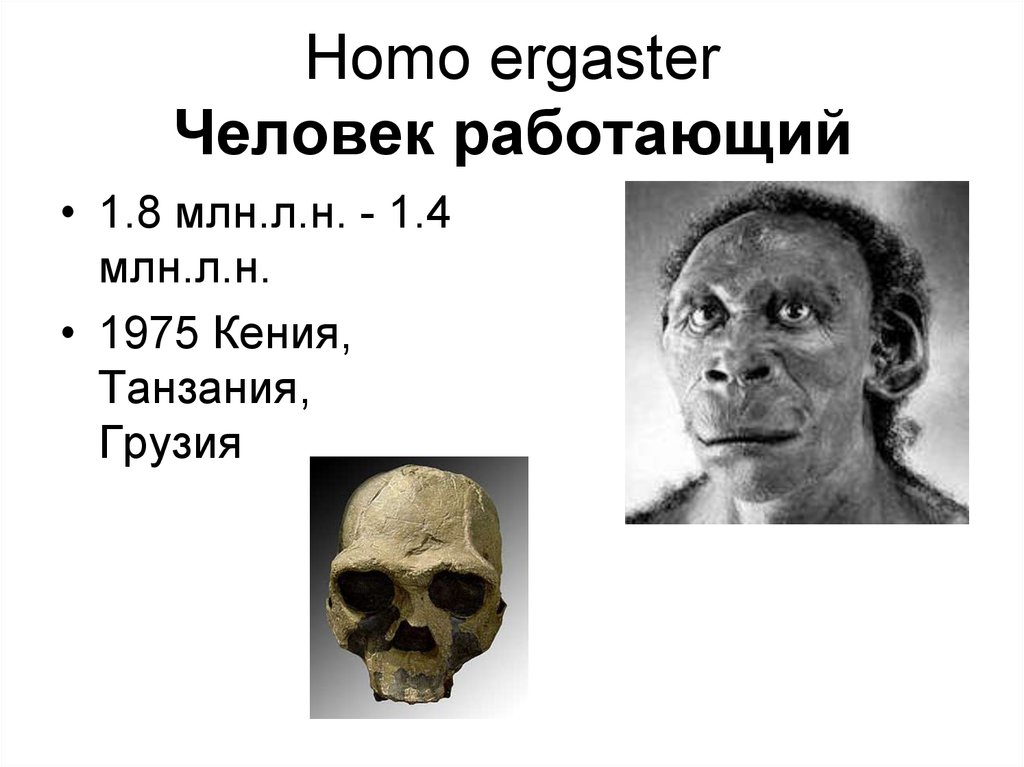 Человек работающий