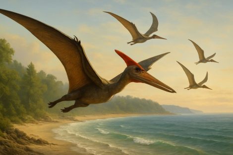 Полёт птерозавров: небесные охотники последней эпохи динозавров
