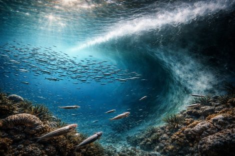 Холодные течения и тёплые моря: океанография юрского периода