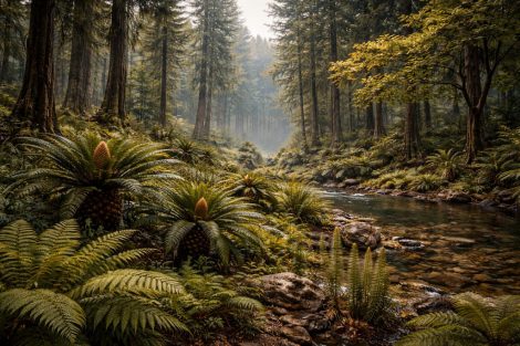 Первые “цветущие” или ещё нет: что росло до расцвета покрытосеменных