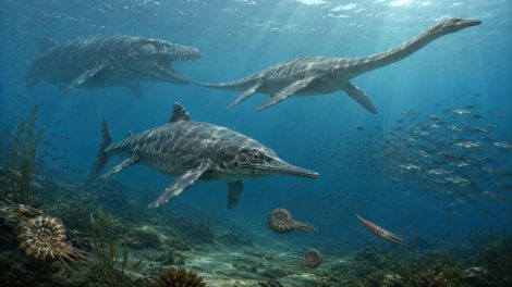 Морские рептилии мезозоя стали хозяевами древних морей