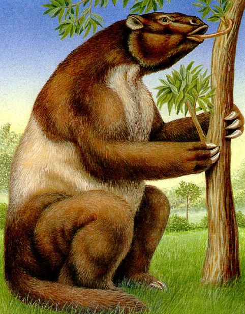 Мегатерий